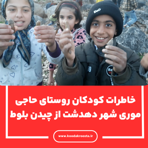 خاطرات کودکان روستای حاجی موری شهر دهدشت از چیدن بلوط